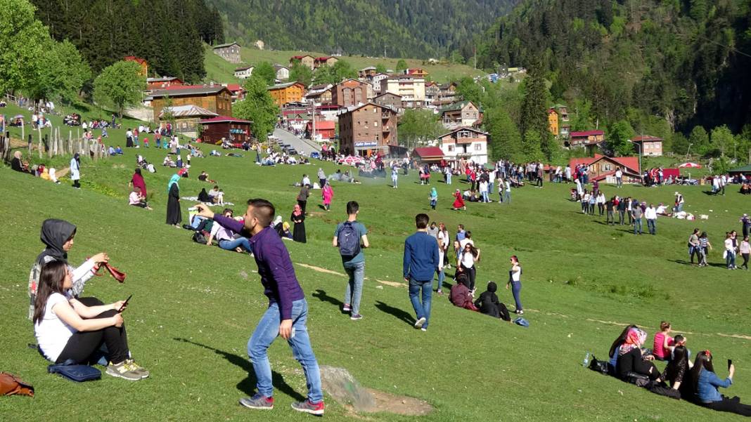 Karadeniz yaylalarında korkutan manzara: Son 10 yılda yüzde 80 arttı 4