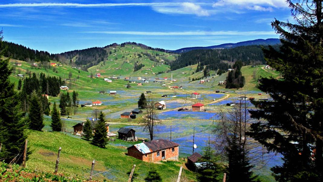 Karadeniz yaylalarında korkutan manzara: Son 10 yılda yüzde 80 arttı 7