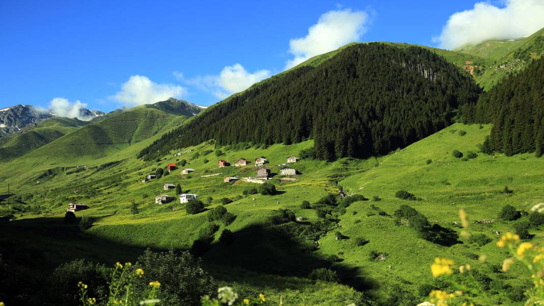 Karadeniz yaylalarında korkutan manzara: Son 10 yılda yüzde 80 arttı 8
