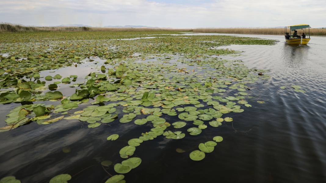 Tabloları aratmıyor: Beyşehir Gölü'ne ziyaretçi akını 2