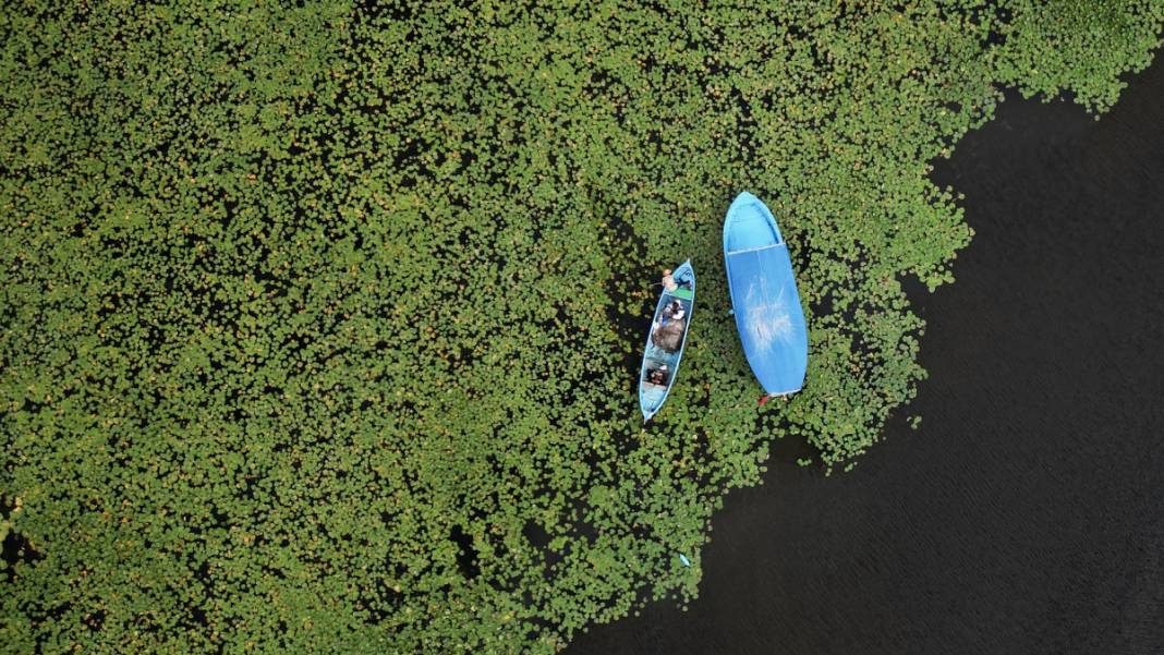 Tabloları aratmıyor: Beyşehir Gölü'ne ziyaretçi akını 3