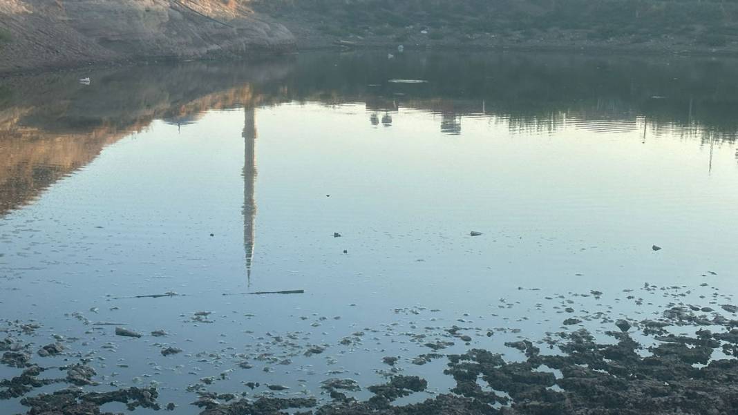 40 metre çekilen gölette balık ölüleri kıyıya vurdu 6