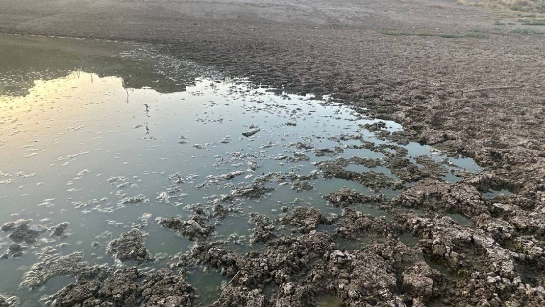 40 metre çekilen gölette balık ölüleri kıyıya vurdu 2