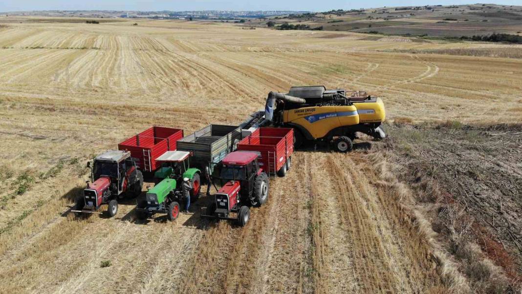 Trakya’da kuraklık kâbusu! 'Toprak suya muhtaç kaldı' 8