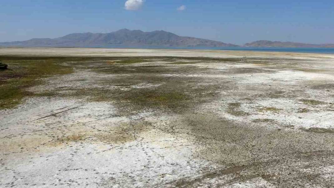 Birçok kuş türü tehlike altında: 'Kuş cenneti' cehenneme döndü 5