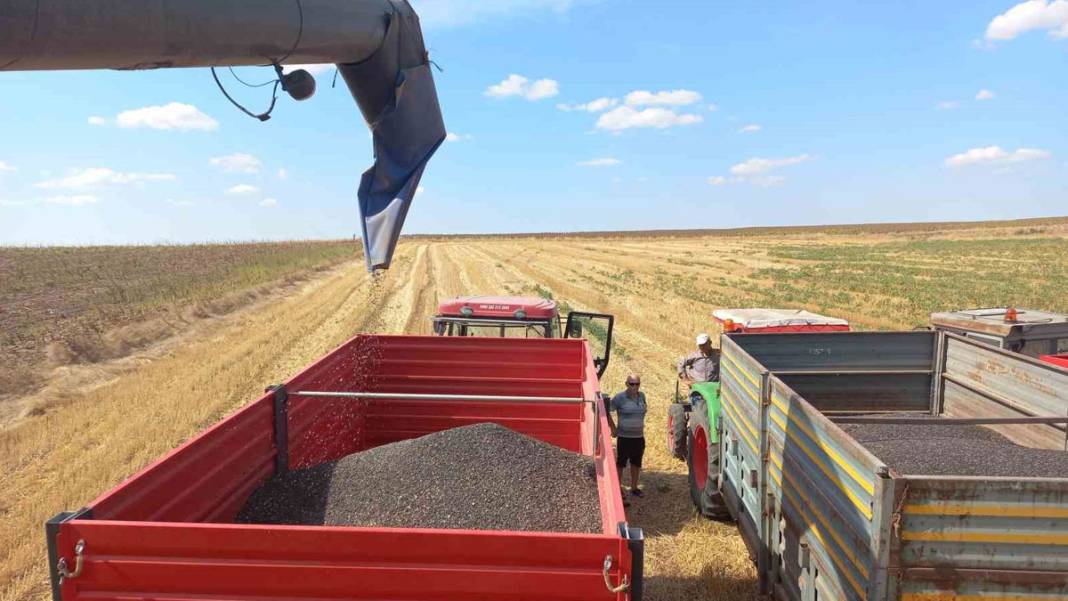 Trakya’da kuraklık kâbusu! 'Toprak suya muhtaç kaldı' 9