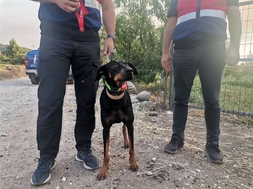 Korhan Berzeg tam 90 gündür aranıyor: 'Metafizikçi'ler yer gösterdi 8