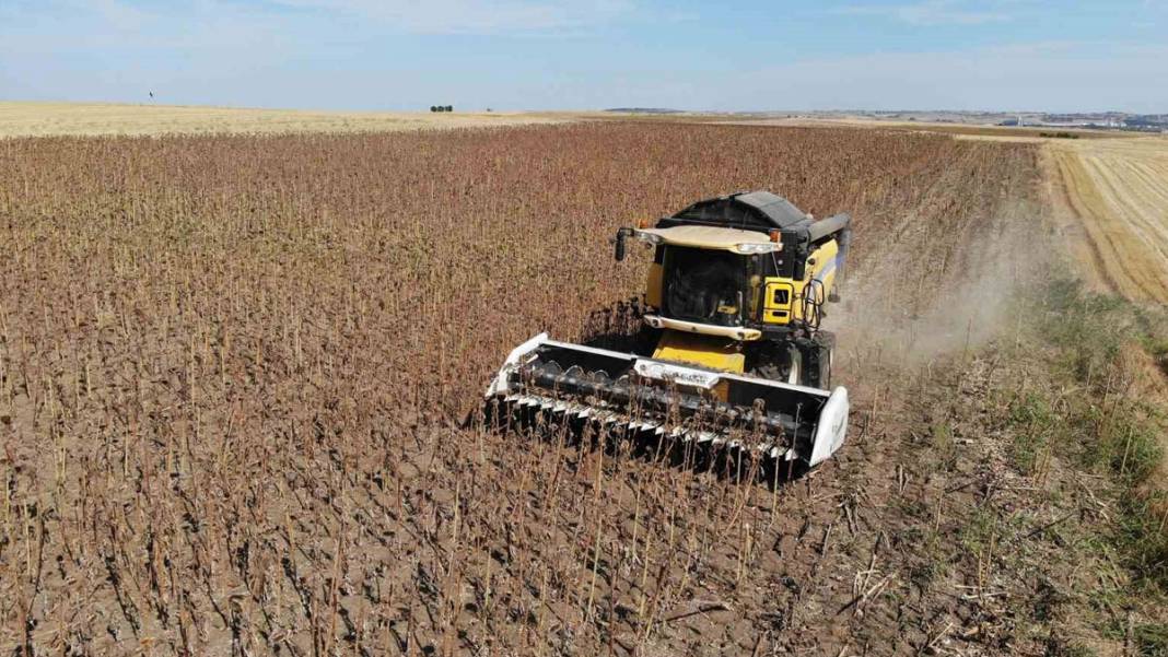 Trakya’da kuraklık kâbusu! 'Toprak suya muhtaç kaldı' 5