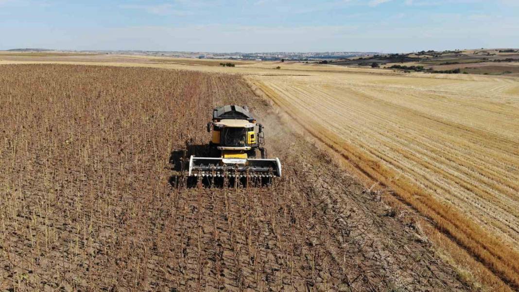 Trakya’da kuraklık kâbusu! 'Toprak suya muhtaç kaldı' 2