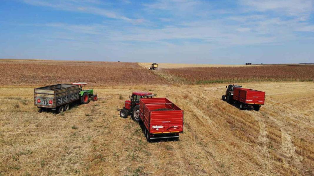Trakya’da kuraklık kâbusu! 'Toprak suya muhtaç kaldı' 7