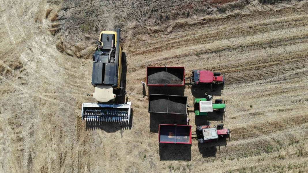 Trakya’da kuraklık kâbusu! 'Toprak suya muhtaç kaldı' 6