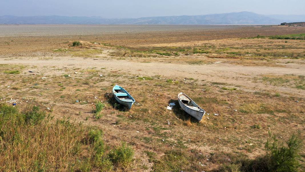 20 bin su kuşuna ev sahipliği yapıyordu: Marmara Gölü tarla oldu 2