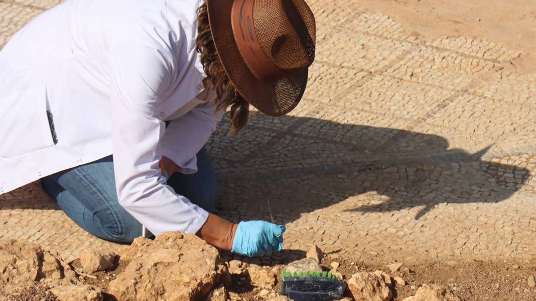 Perre Antik Kenti'ndeki 1800 yıllık mozaikler koruma altında 5