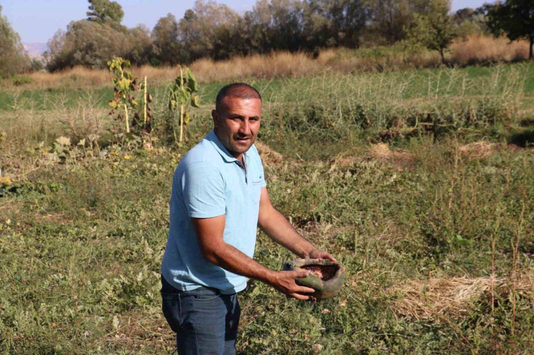 Çiftçilerin kabusu tarlada mahsul bırakmadı: Korkudan tarlaya giremiyorlar! 7