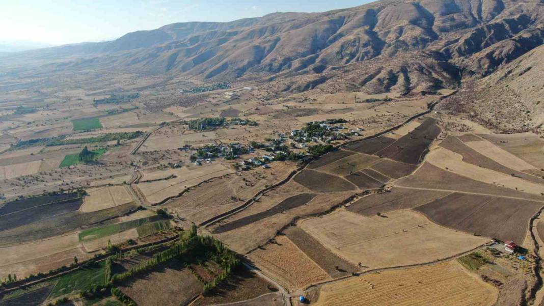 Çiftçilerin kabusu tarlada mahsul bırakmadı: Korkudan tarlaya giremiyorlar! 1