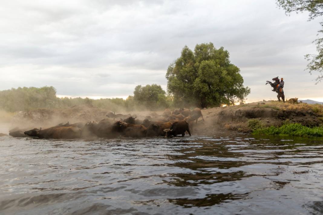 Baca' dikildikten sonra 'kesin korunacak hassas alan' oldu: Hürmetçi Sazlığı için geç gelen karar 3