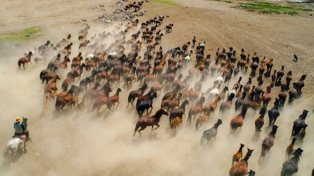 Baca' dikildikten sonra 'kesin korunacak hassas alan' oldu: Hürmetçi Sazlığı için geç gelen karar 1