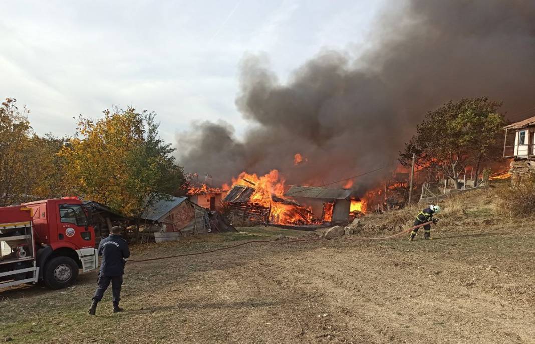 Alevler 40 evi yuttu: Kastamonu'daki yangın büyüyor 11