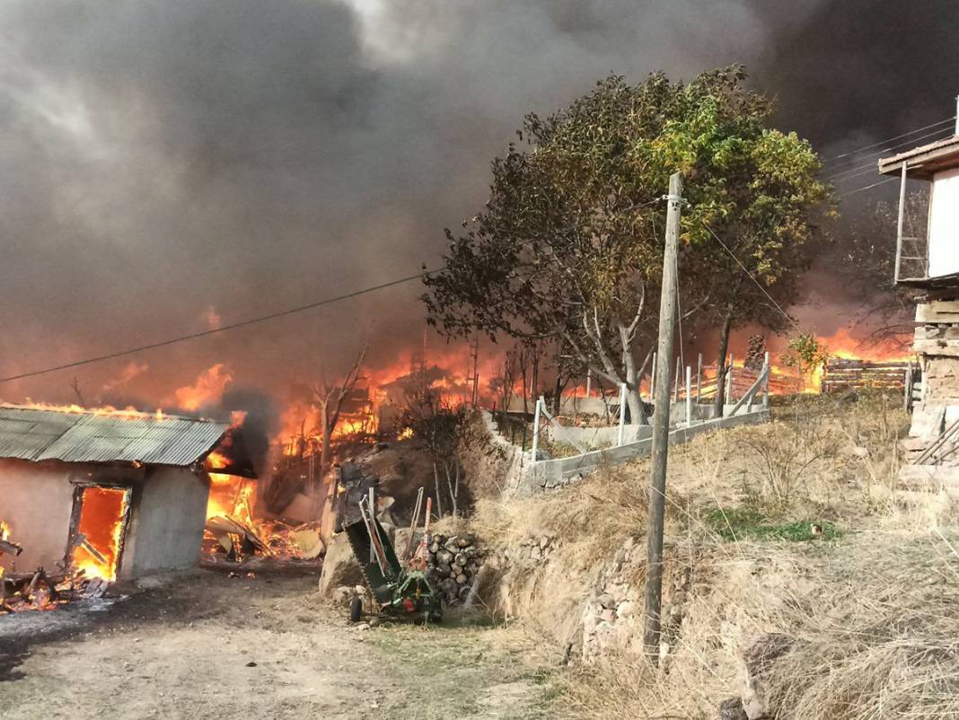 Alevler 40 evi yuttu: Kastamonu'daki yangın büyüyor 9