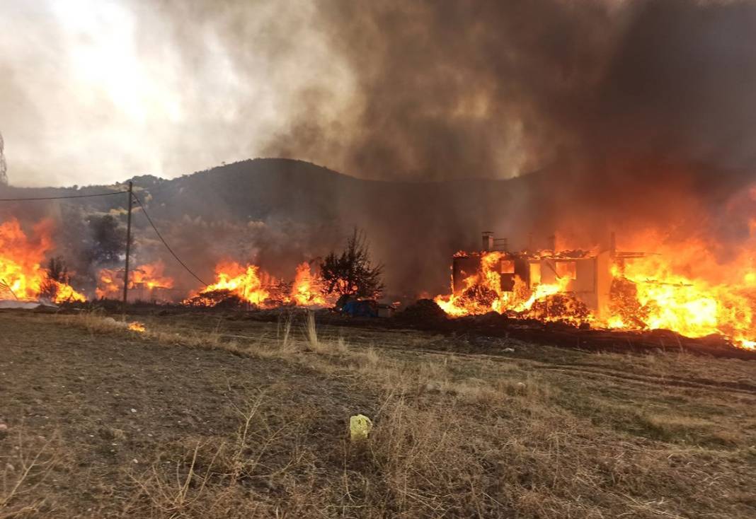 Alevler 40 evi yuttu: Kastamonu'daki yangın büyüyor 2