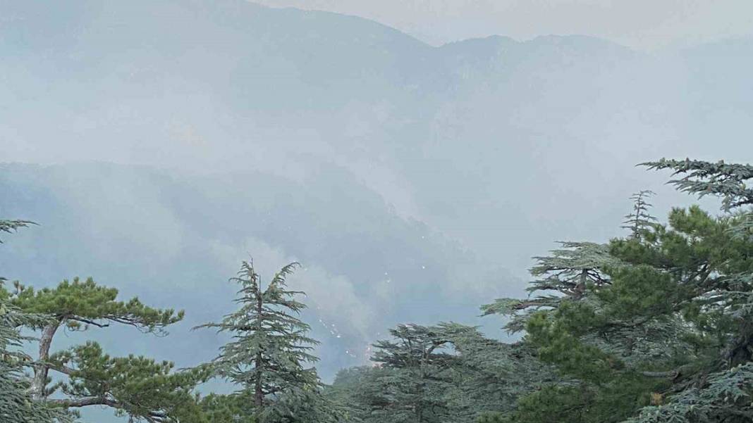 Kontrol altına alındıktan sonra yeniden başladı: Burdur'daki yangın 8'inci gününde 4