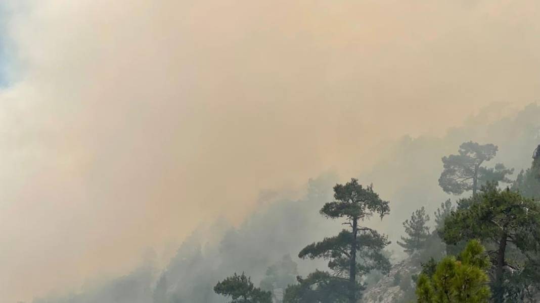 Kontrol altına alındıktan sonra yeniden başladı: Burdur'daki yangın 8'inci gününde 5