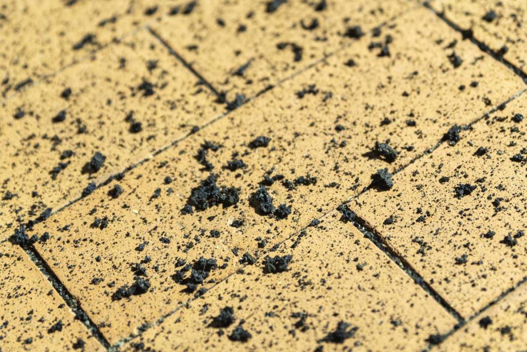 Etna Yanardağı tekrar faaliyete geçti 12