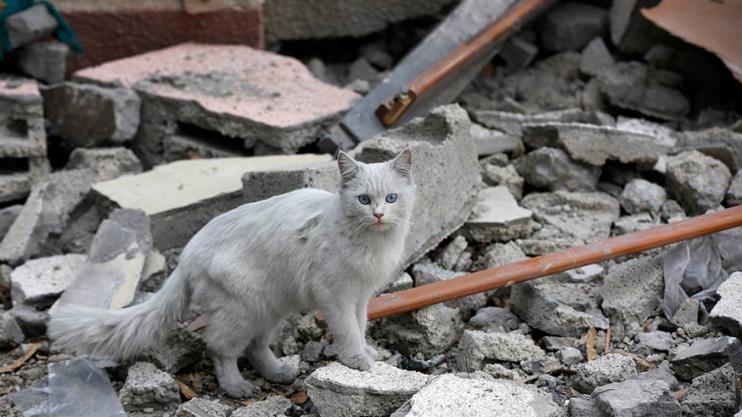 Yıkım gün yüzüne çıktı! Enkaz şehir Gazze 7