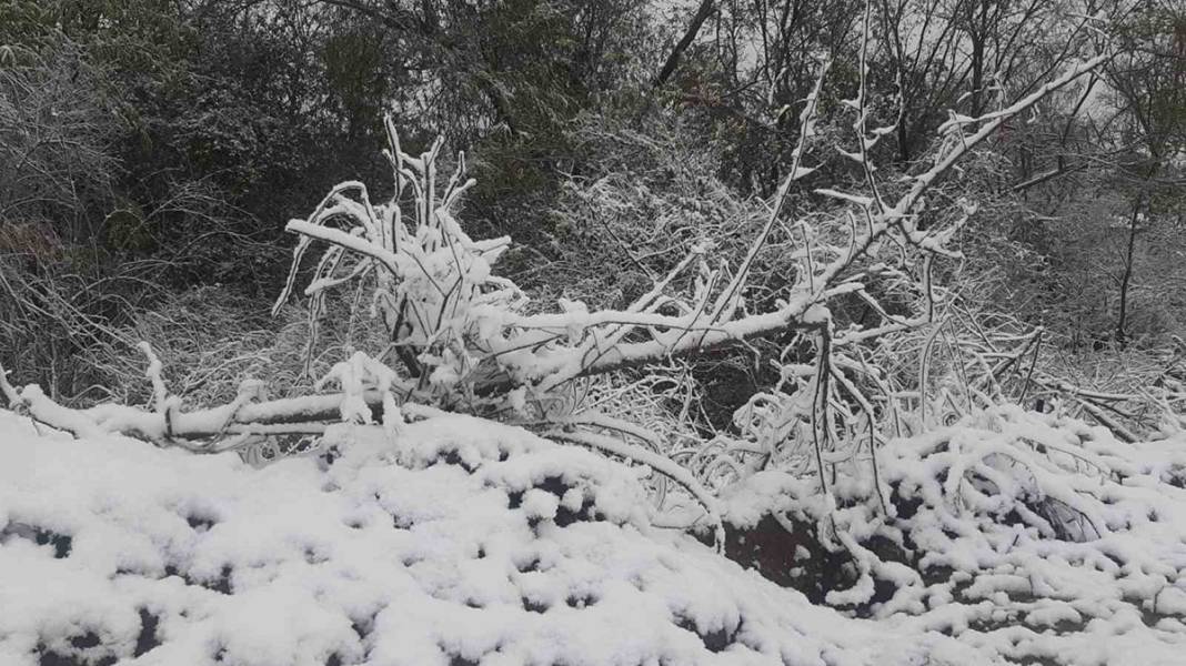 Balkanlar'dan gelen kar yağışı sınır kapısını çaldı: Edirne beyaz örtüyle kaplandı 7