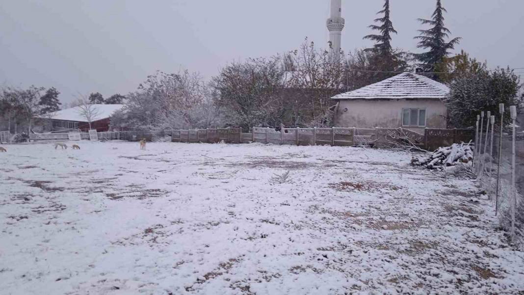 Balkanlar'dan gelen kar yağışı sınır kapısını çaldı: Edirne beyaz örtüyle kaplandı 9