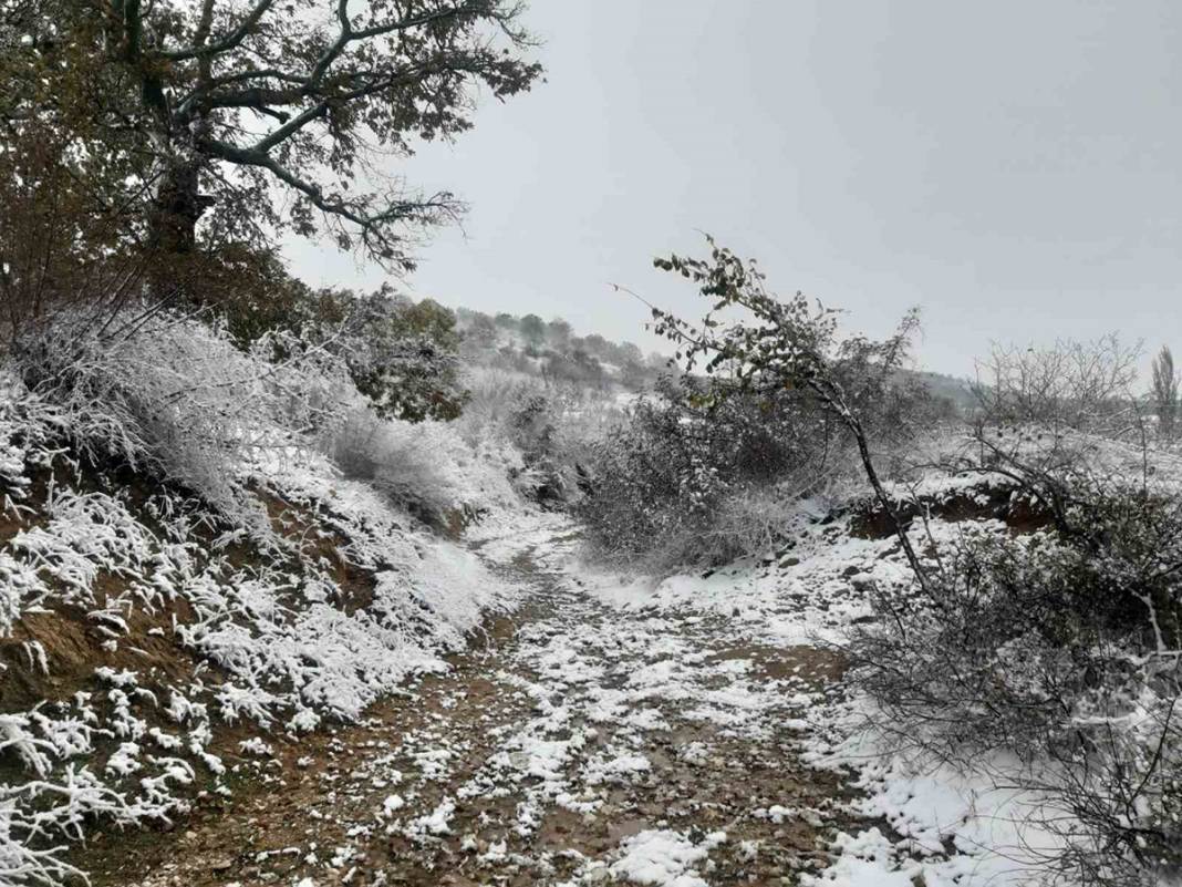 Balkanlar'dan gelen kar yağışı sınır kapısını çaldı: Edirne beyaz örtüyle kaplandı 5