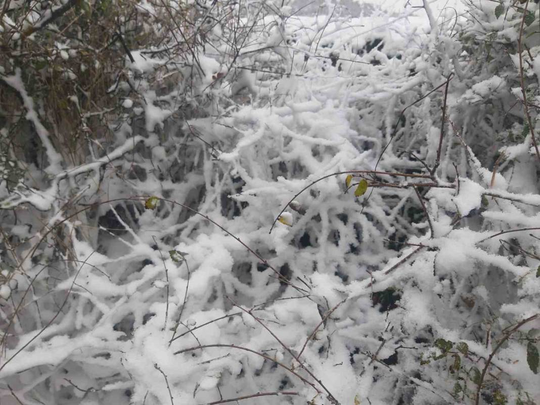 Balkanlar'dan gelen kar yağışı sınır kapısını çaldı: Edirne beyaz örtüyle kaplandı 3