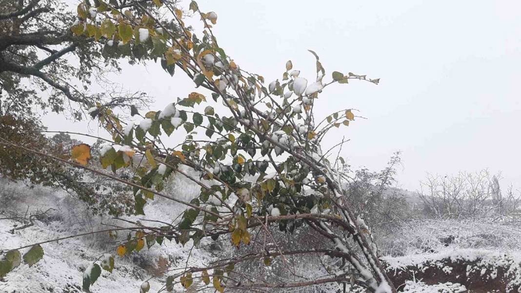 Balkanlar'dan gelen kar yağışı sınır kapısını çaldı: Edirne beyaz örtüyle kaplandı 1
