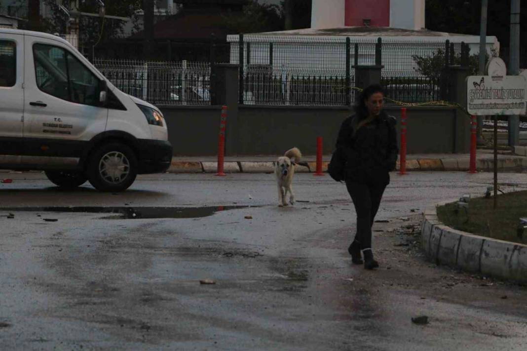 Deprem sonrası 1 metre çökmüştü: İskenderun'da denizle kara birleşti 4
