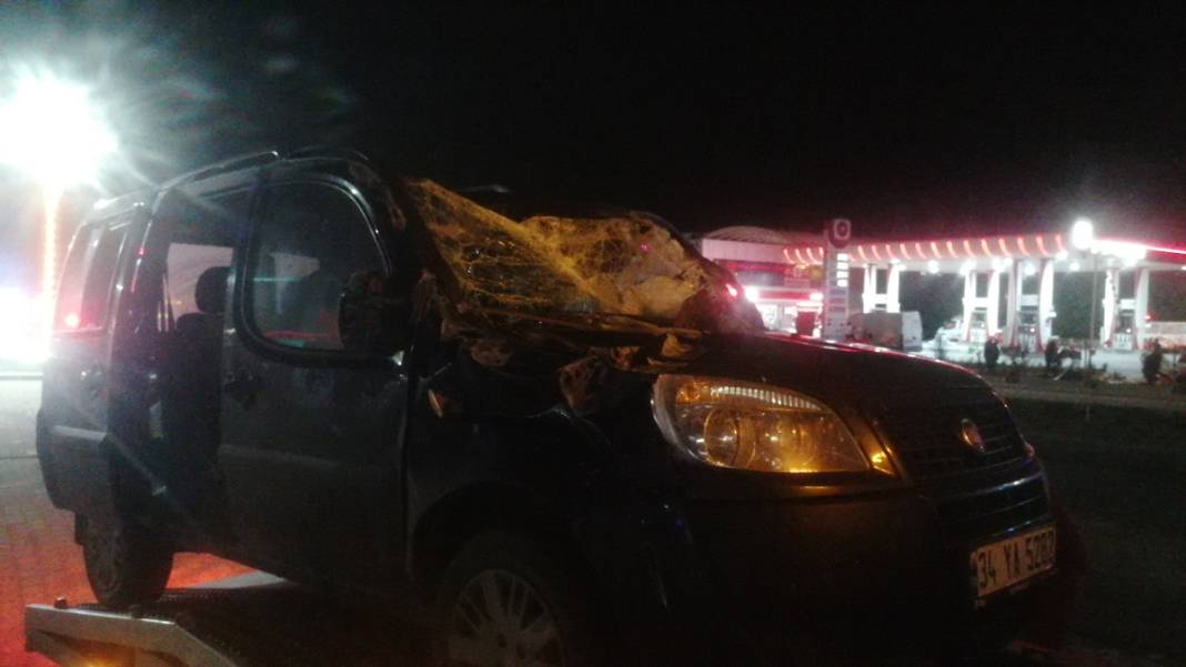 Batıda fırtına kabusu! Çatılar uçtu, ağaçlar devrildi, ulaşım kapandı 5