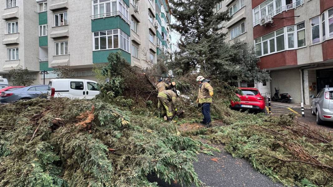 İstanbul'u fırtına vurdu: Deniz seviyesi yükseldi, ağaçlar devrildi, çatılar uçtu 4