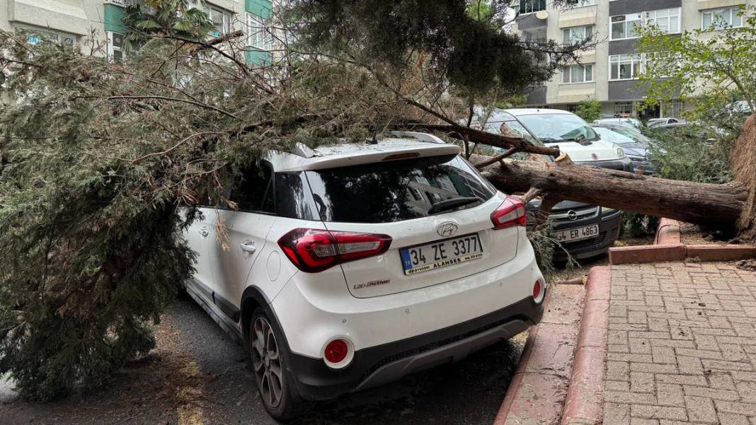 İstanbul'u fırtına vurdu: Deniz seviyesi yükseldi, ağaçlar devrildi, çatılar uçtu 2