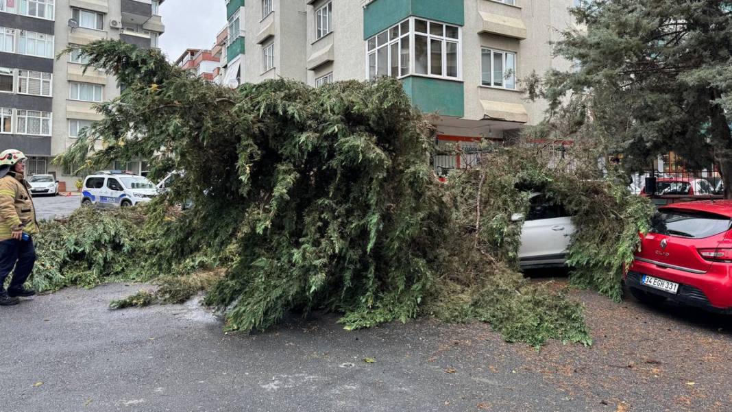 İstanbul'u fırtına vurdu: Deniz seviyesi yükseldi, ağaçlar devrildi, çatılar uçtu 3