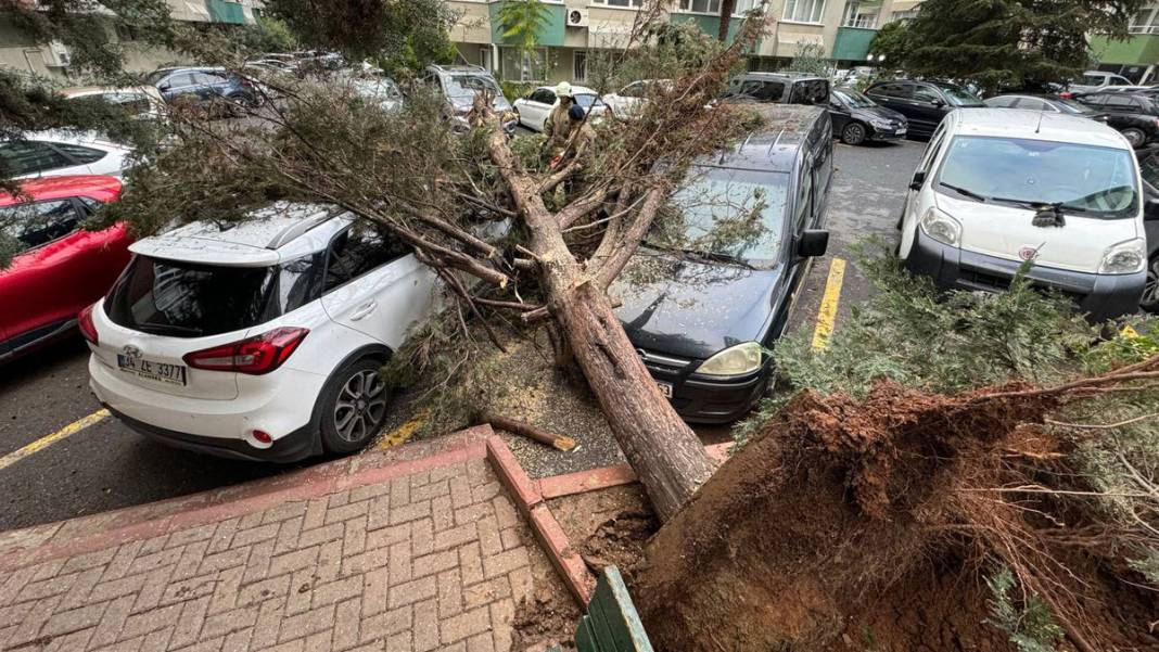 İstanbul'u fırtına vurdu: Deniz seviyesi yükseldi, ağaçlar devrildi, çatılar uçtu 1