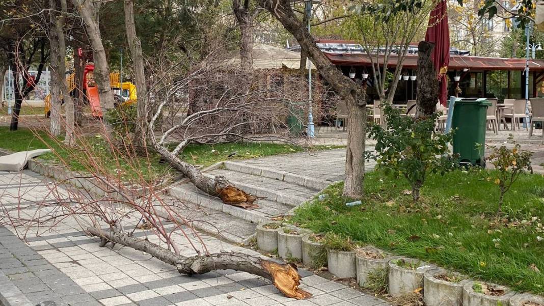 İstanbul'u fırtına vurdu: Deniz seviyesi yükseldi, ağaçlar devrildi, çatılar uçtu 5