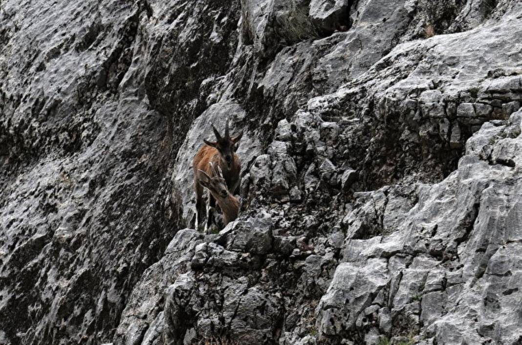 Burası dünyanın en tehlikeli yolu! Üstelik o ilimizde... Her geçen ölümle burun buruna geliyor, buradan geçerken dikkat edin 4