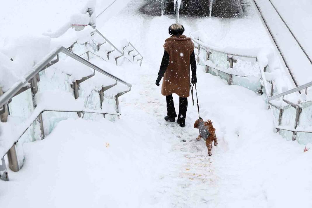 Almanya kara teslim: Tren ve uçak seferleri iptal edildi 8