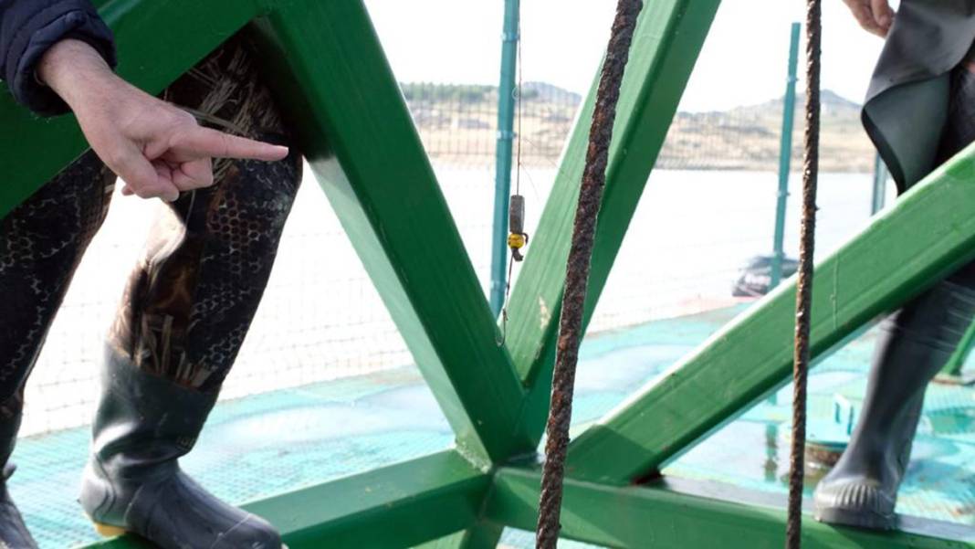 Edirne suya ulaşamıyor: Belediye başkanından 'sabotaj' iddiası 16