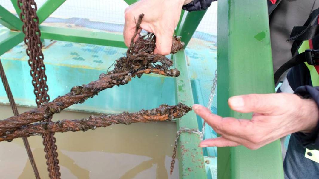 Edirne suya ulaşamıyor: Belediye başkanından 'sabotaj' iddiası 14