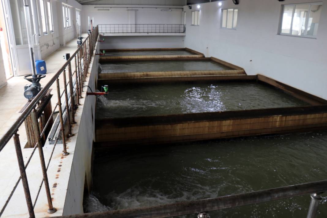 Edirne suya ulaşamıyor: Belediye başkanından 'sabotaj' iddiası 9