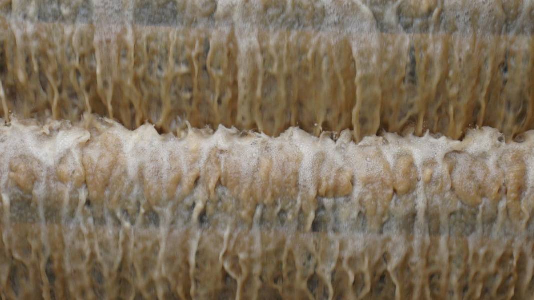 Edirne suya ulaşamıyor: Belediye başkanından 'sabotaj' iddiası 4