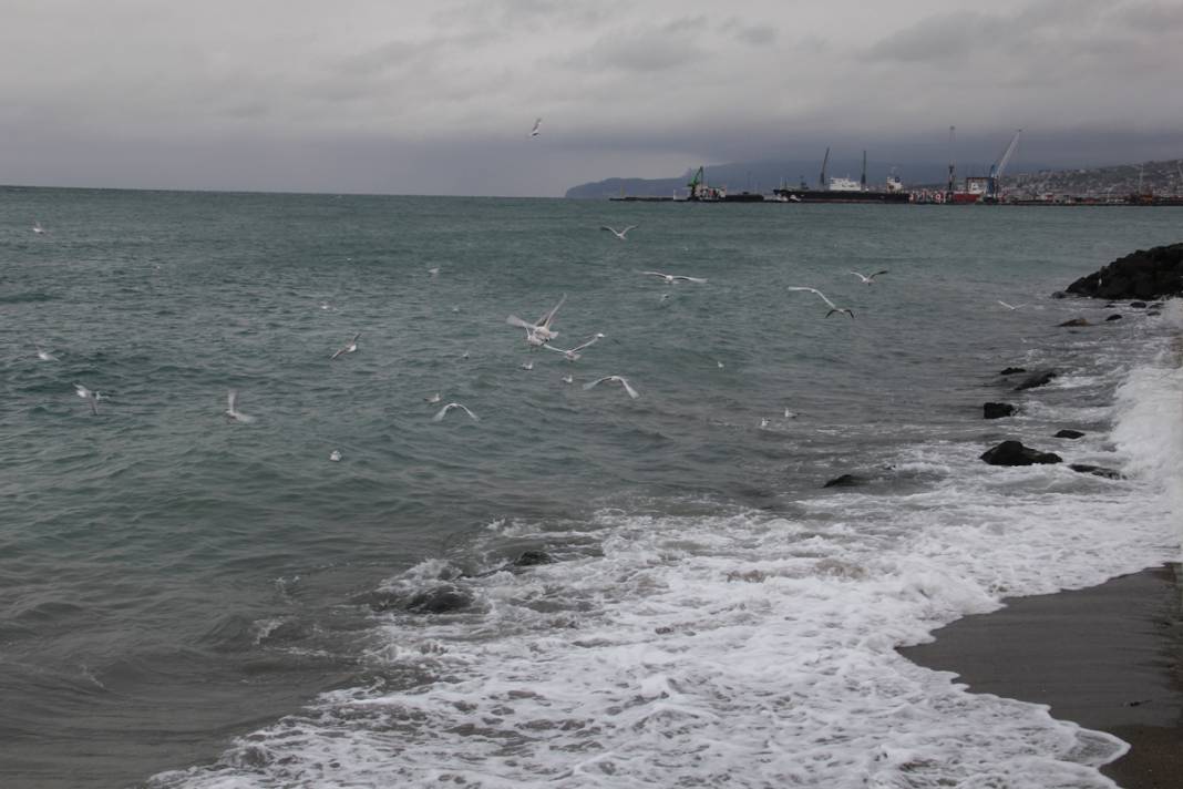 Marmara'da deniz ulaşımına hava engeli: Çok sayıda gemi Tekirdağ açıklarına demirledi 7