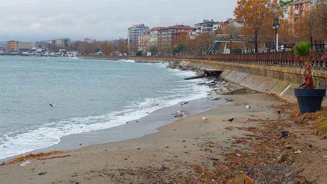 Marmara'da deniz ulaşımına hava engeli: Çok sayıda gemi Tekirdağ açıklarına demirledi 2