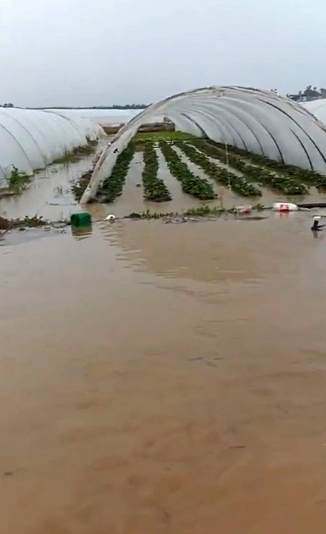 Antalya'yı sağanak vurdu: Araçlar yolda kaldı, evleri ve seraları su bastı 8