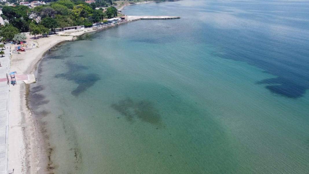 Uzmanından Marmara Denizi uyarısı: Oksijen azaldı, istilacı türler arttı 4